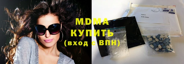 хмурый Аркадак