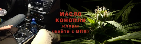 хмурый Аркадак