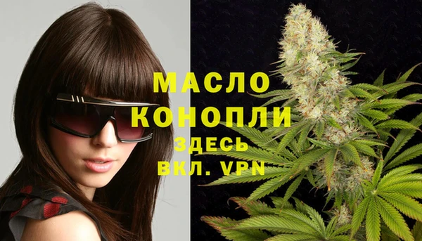 хмурый Аркадак