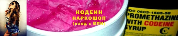 хмурый Аркадак