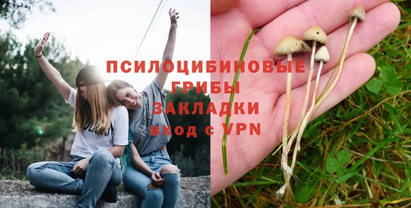 мяу мяу мука Балахна
