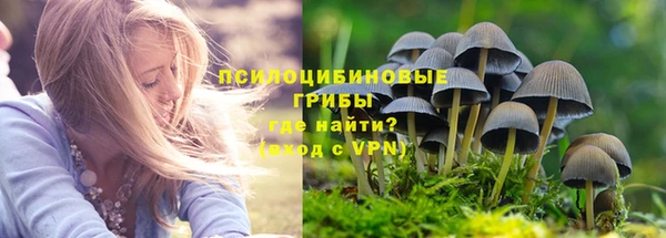 мяу мяу мука Балахна