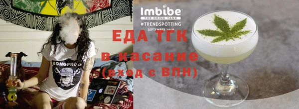 хмурый Аркадак