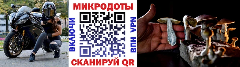 гидра зеркало  Питкяранта  Псилоцибиновые грибы MAGIC MUSHROOMS 
